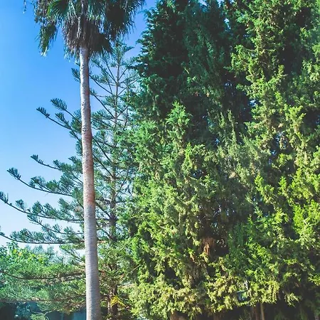 Апартаменты Espaciosa En Mijas Costa Para 10 Personas *